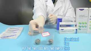 Teste de ovo fluoretado